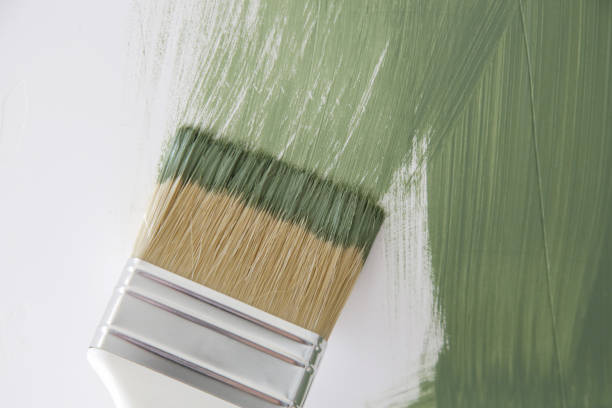 Best Mold Damage Restoration  in Ottawa, KS