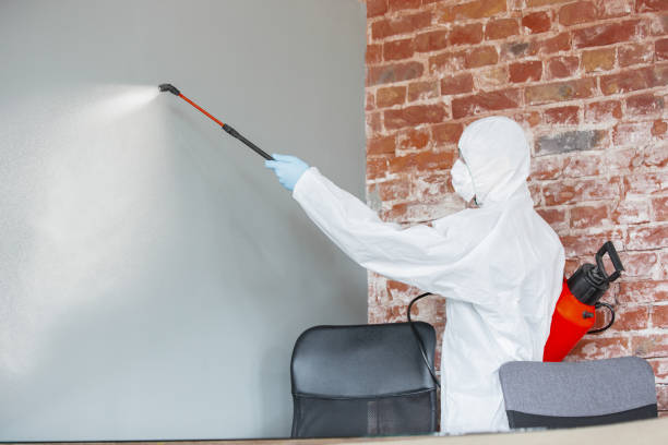 Best Biohazard Mold Removal  in Ottawa, KS