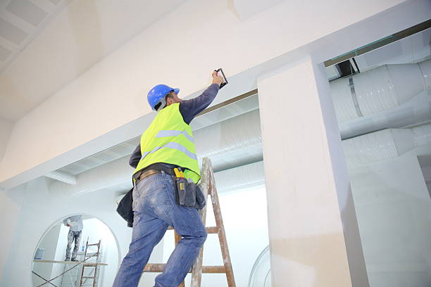 Reliable Ottawa, KS Mold Removal Solutions