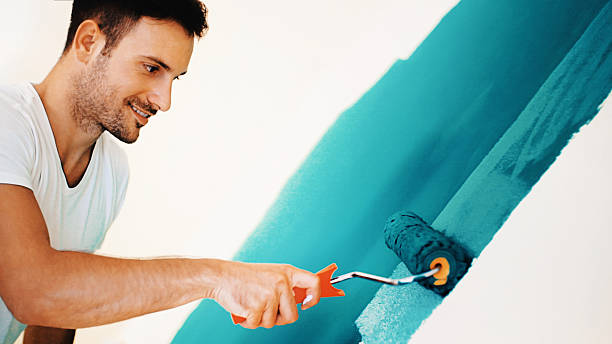 Best Mold Remediation for Healthcare Facilities  in Ottawa, KS
