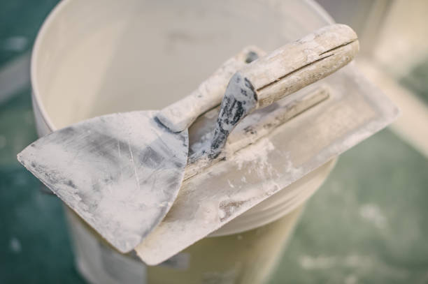 Best Forensic Mold Investigation  in Ottawa, KS